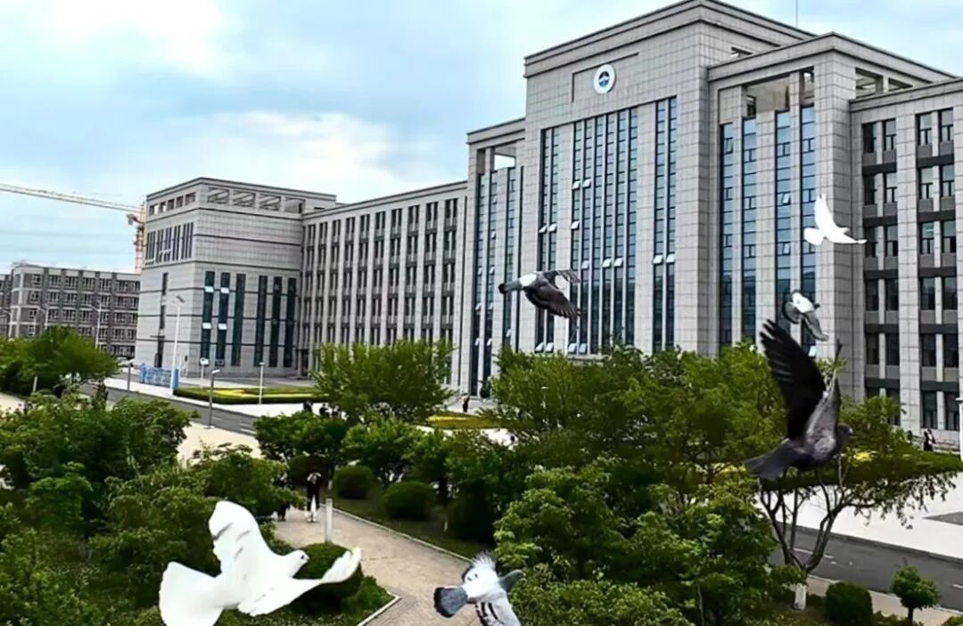 追光而遇·沐光而行｜青春不散场，毕业正当“燃”！