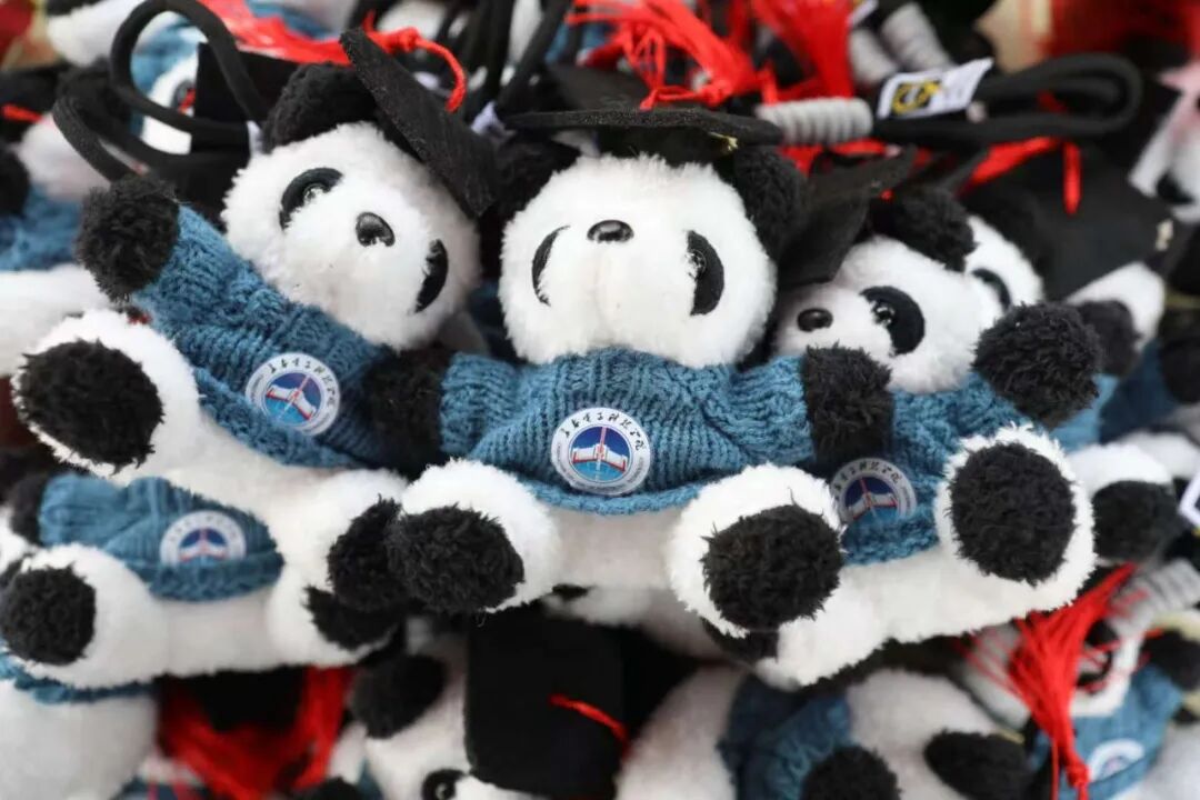 追光而遇·沐光而行｜青春不散场，毕业正当“燃”！